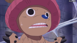 ワンピースアニメ スリラーバーク編 355話 チョッパー Tony Tony Chopper | ONE PIECE Episode 355 Thriller Bark