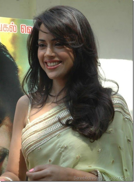 Sameera Reddy Hot photos in Saree 5