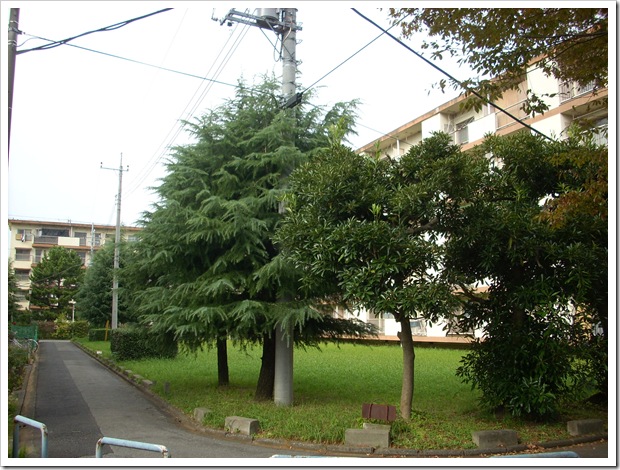 20111030_130359