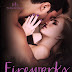 Lançamento do dia/Release Day: Fireworks ( True North #6) – Sarina Bowen 