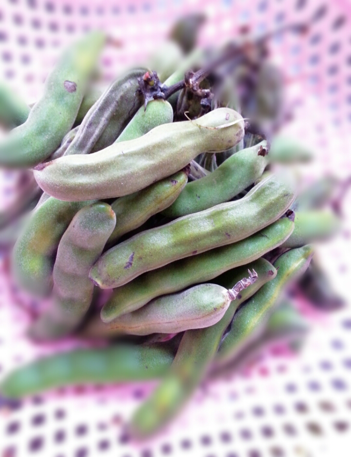 KACANG EDAMAME