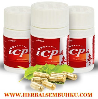 JUAL ICP CAPSULE DI SURABAYA