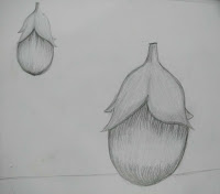 Harmony Arts Academy Drawing Classes Thursday 18-July-19 Anusha Yogesh Bhojane 11 yrs Small Brinjal Vegetables Drawing Grade Pencils, Paper SSDP - Pencil Sketching
