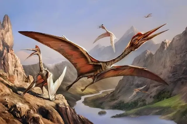 El nuevo pterosaurio descubierto en la Isla de Skye, llamado Ceoptera evansae, pertenece a una rama importante de la línea evolutiva de los pterosaurios conocida como Darwinoptera. Lo fascinante es que este hallazgo revela que esta especie en particular vivió durante más de 25 millones de años en el periodo Jurásico, extendiéndose desde hace aproximadamente 200 millones de años hasta hace 145 millones de años.