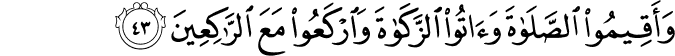 Surat Al-Baqarah Ayat 43