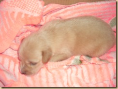 river side new baby 005