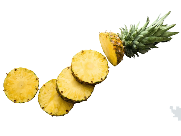 pineapple, can dogs eat pineapple, is pineapple safe for dogs