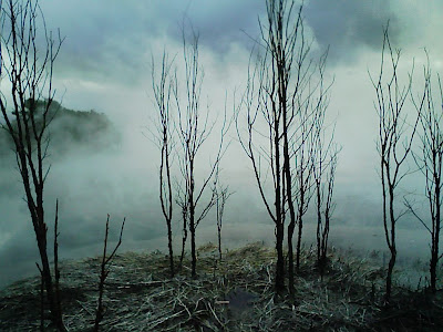 The Lake of the Monster, Rotorua; it's there, honest, behind the trees