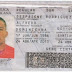 El Cubano Alfredo Despaigne juega con pasaporte dominicano falso en México 