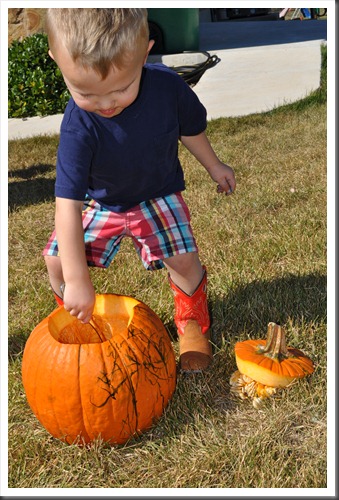 DSC_0025 DSC_0025