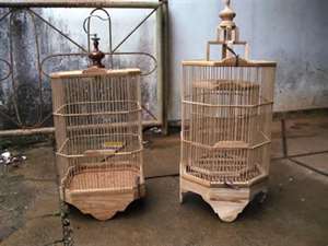 Burung Hias Gambar Sangkar Burung Burung Hias Gambar Sangkar Burung