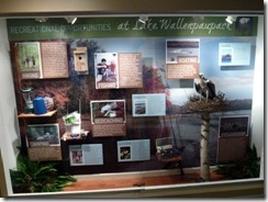 Info board