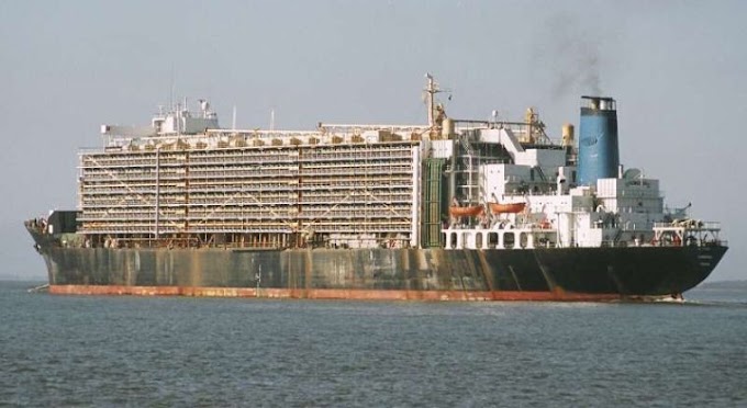 Terror de los puertos veracruzanos *El buque “ALMAWASHI” y la desaparición de personas