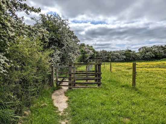 Go through the gate then turn left on North Mymms footpath 9