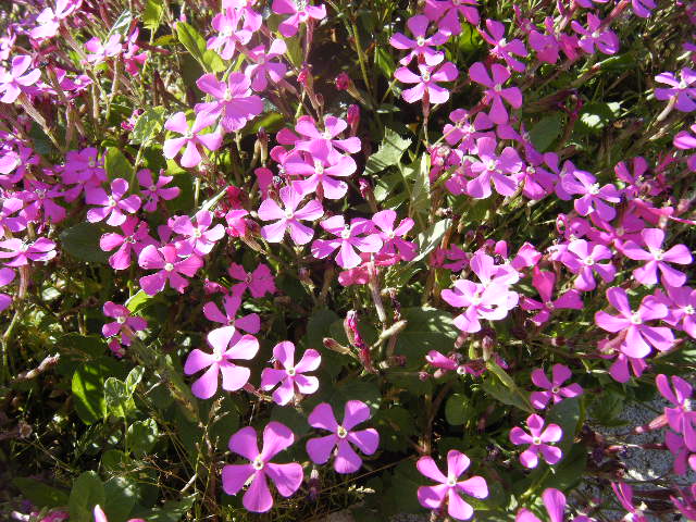 2009_03220004.JPG