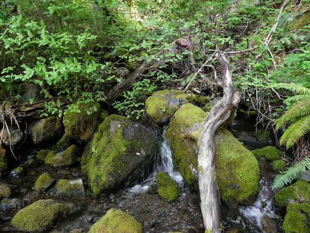 water flowing over mossy boulders