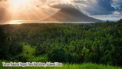 Taman Nasional Bogani Nani Wartabone