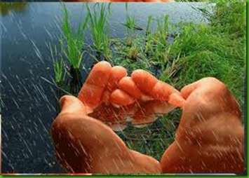 images (20)