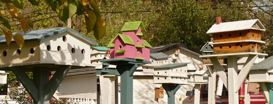 Birdhouse Collection of Different Heights