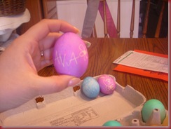 Ava's egg