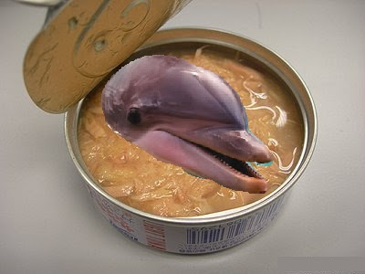 There is dolphin in my tuna!