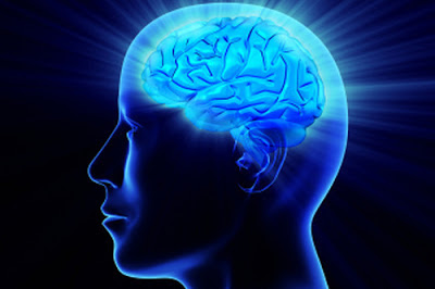 Tips Cara Efektif Meningkatkan Kecerdasan Otak 