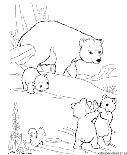 Cute Baby Bear At Forest Coloring Pages