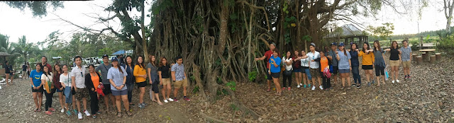 Aurora’s Bewitching Balete Tree