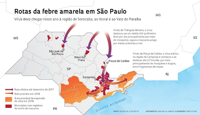 O alarme dos macacos - Rotas da Febre Amarela