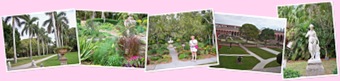 View CDZ grounds 2