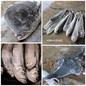 Pontian Wholesale Fish Market 