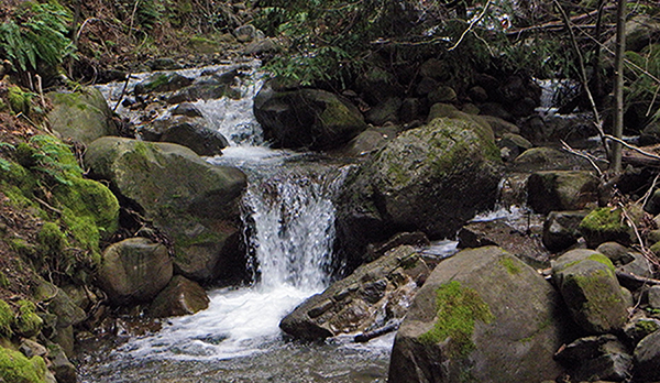 Water flowing down several pathways and waterfalls