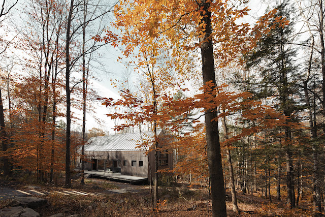 Sustainable Catskills Cottage with Vipp Kitchen