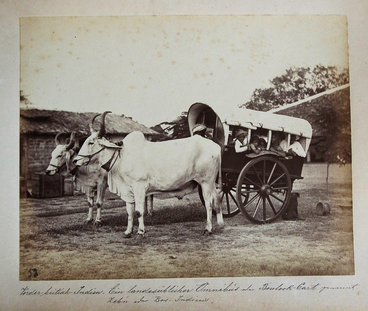 Indian Bullock Cart with Passengers