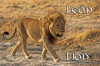 http://m-anson.blogspot.com.es/p/leones.html