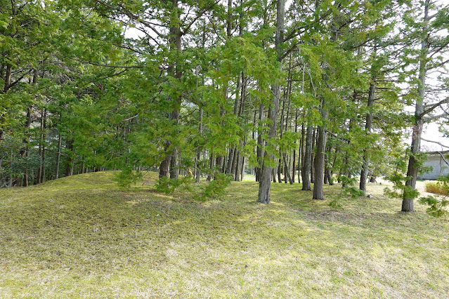 島根県出雲市大社町杵築東 島根県立古代出雲歴史博物館