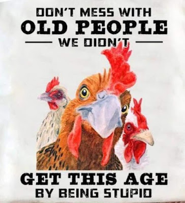 Funny chicken humor.. How right this is..