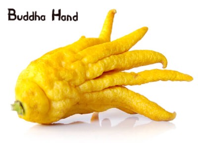 Buddha’s Hand