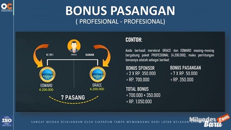 marketing plan ourcitrus