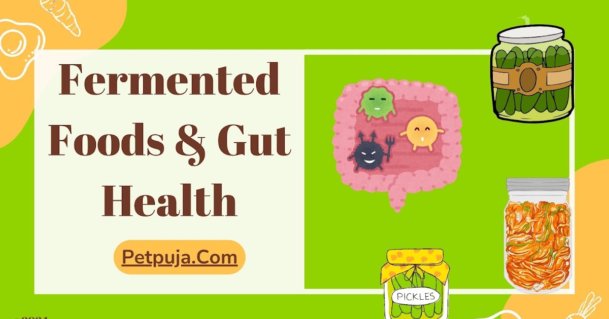 Fermented Foods & Gut Health