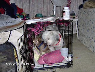 Jake and Nisie in a Cage Fight