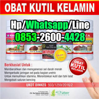 Obat Kutil Kelamin