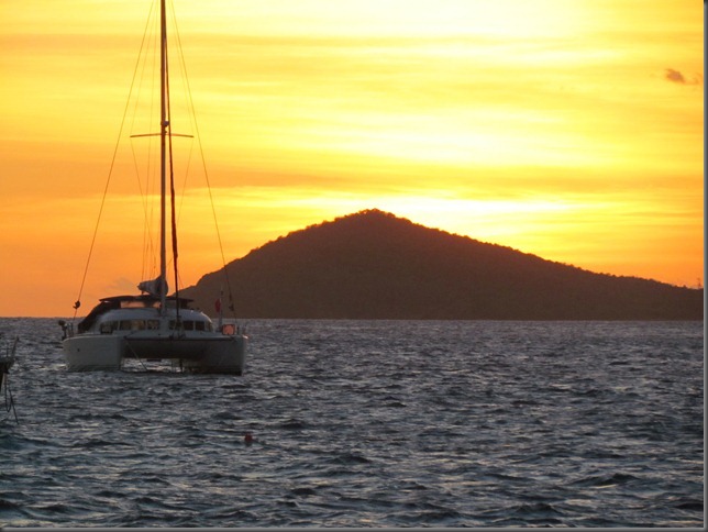 tobago cays rob 062