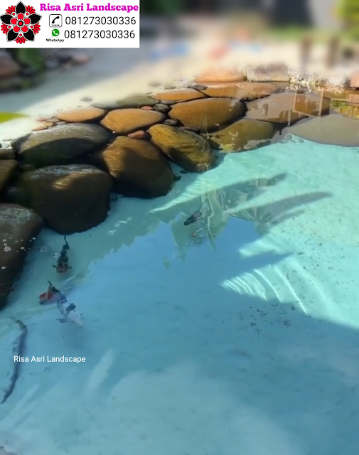 Jasa Tukang Kolam Natural Koi Pond Minimalis Batu Alam Kolam Natural Koi Pond & Kolam Minimalis WaterWall Air Terjun & Mancur