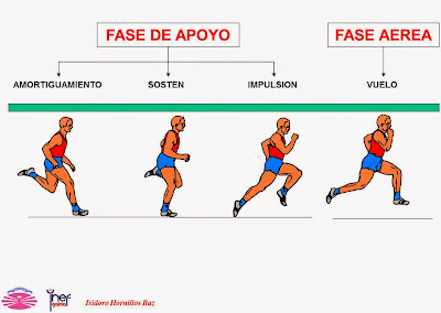 Resultado de imagen de tecnica de carrera  sosten