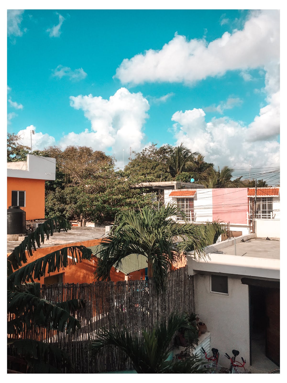 au premier plan des feuilles de palmiers sur l'arbre et au second plan des bâtiments orangers et blancs dans le centre ville de tulum au mexique