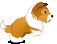 Cachorrinhos (105)