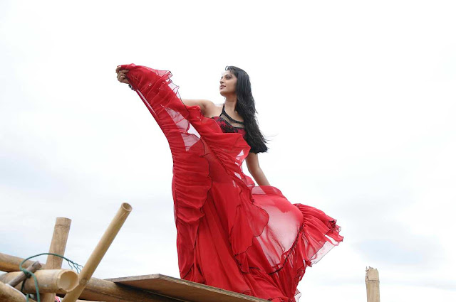 Anushka hot Pics in saree 
Damarukam Movie
