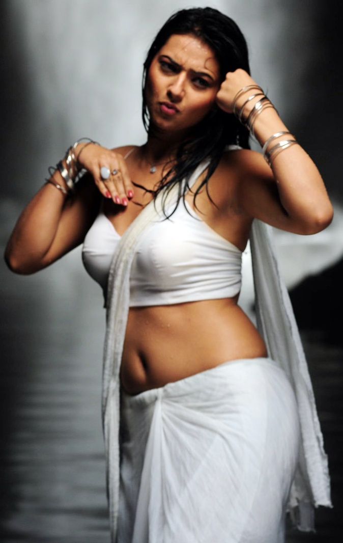 Tamil Actress In Saree - Hot Pics