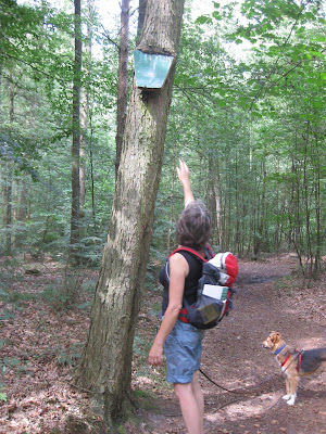 Geologisch natuurpad Rondom Willink